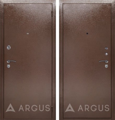Дверь Аргус ДА-9